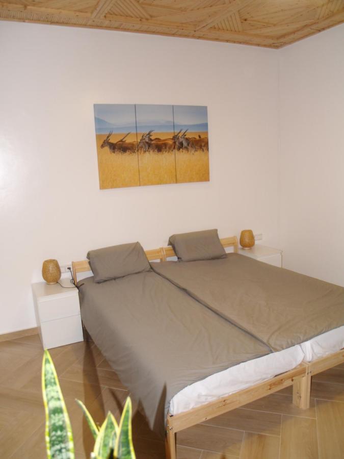 Dar Makai Surf Hotel Tamraght Exteriér fotografie