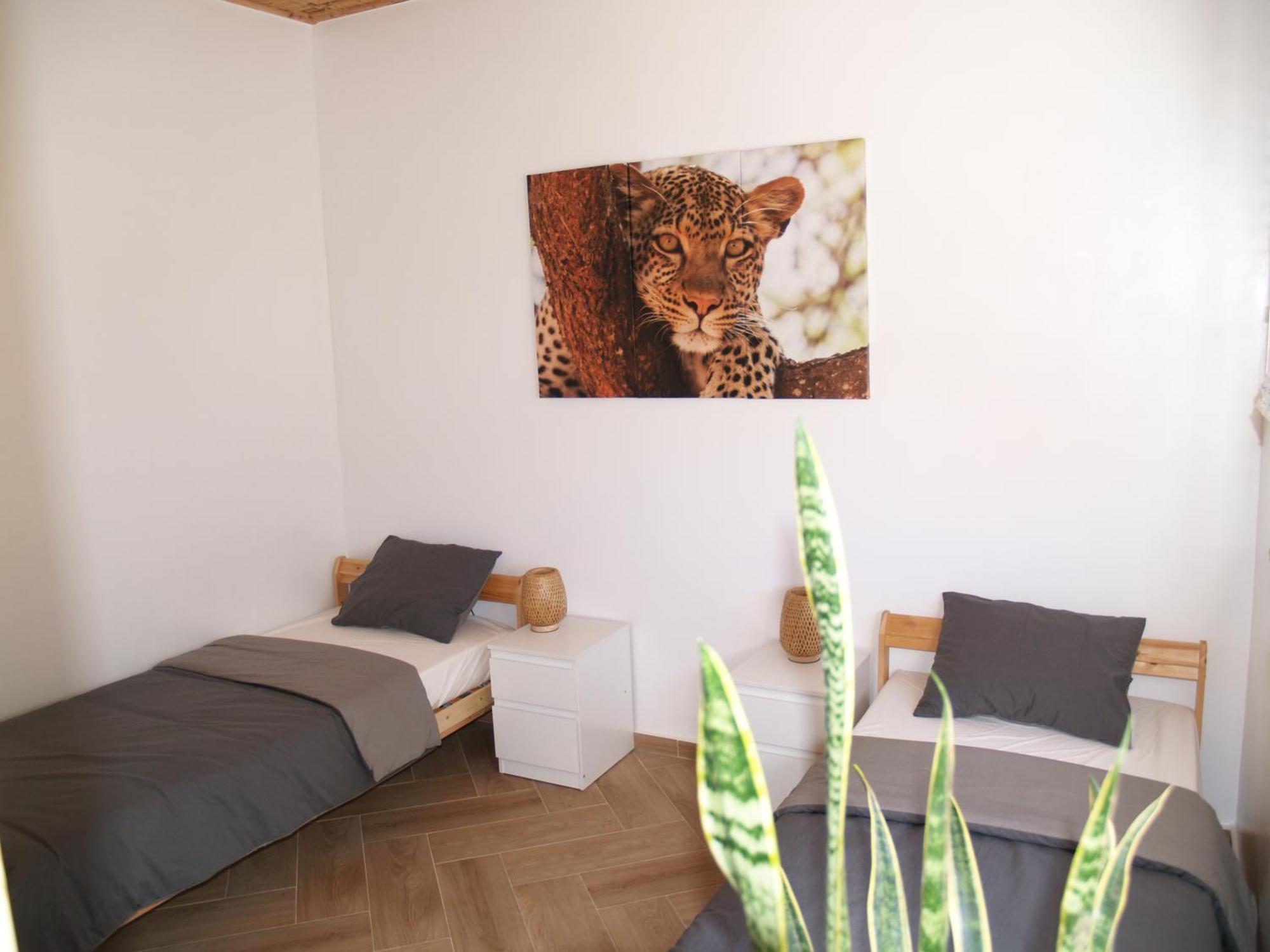 Dar Makai Surf Hotel Tamraght Exteriér fotografie